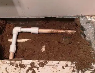 市南测漏水哪家好