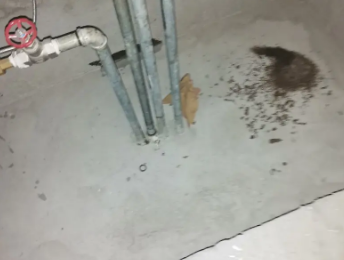 市南卫生间测漏水价格明细