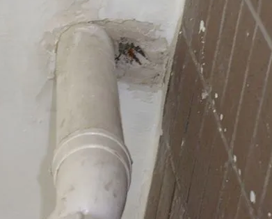 市南漏水检测哪家好